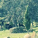Aguait - Approximately Aprox 4o Ooo Meters Private Mountain Approx 3 Minutes Walking From The Ideal For Relaxation Sport Villa Port de Pollença