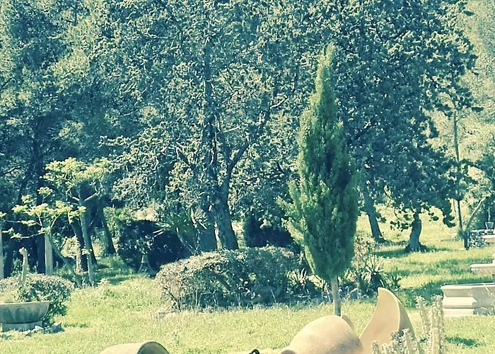 Aguait - Approximately Aprox 4o Ooo Meters Private Mountain Approx 3 Minutes Walking From The Ideal For Relaxation Sport فيلة بورت دي بوينسا