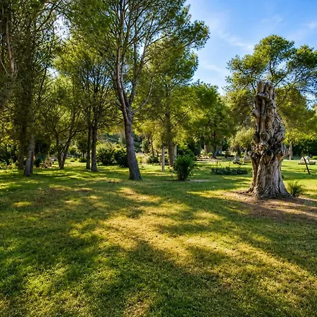 Aguait - Approximately Aprox 4o Ooo Meters Private Mountain Approx 3 Minutes Walking From The Ideal For Relaxation Sport Villa *