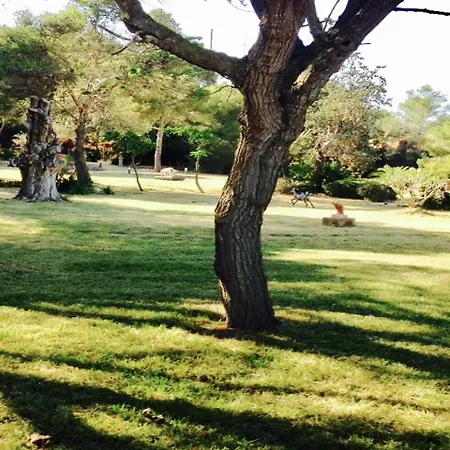 Aguait - Approximately Aprox 4o Ooo Meters Private Mountain Approx 3 Minutes Walking From The Ideal For Relaxation Sport Port de Pollença