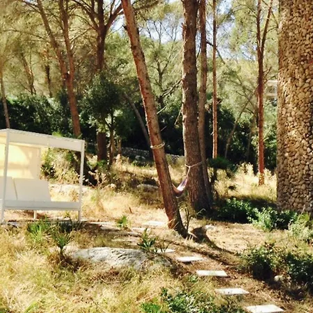 Aguait - Approximately Aprox 4o Ooo Meters Private Mountain Approx 3 Minutes Walking From The Ideal For Relaxation Sport Vila Port de Pollença