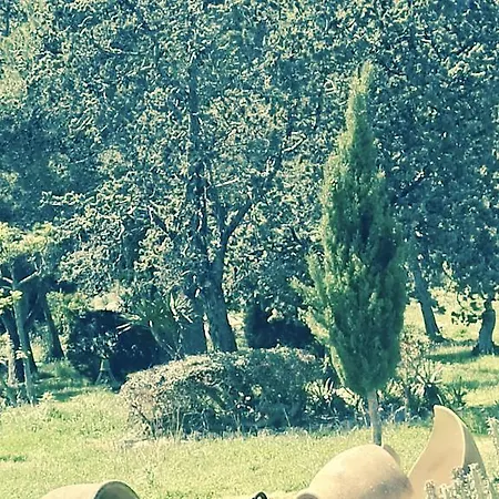 Aguait - Approximately Aprox 4o Ooo Meters Private Mountain Approx 3 Minutes Walking From The Ideal For Relaxation Sport Villa Port de Pollença